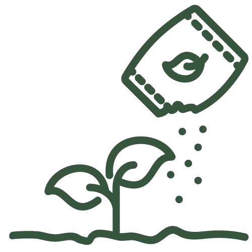 Lawn Fertilization & Weed Control Program