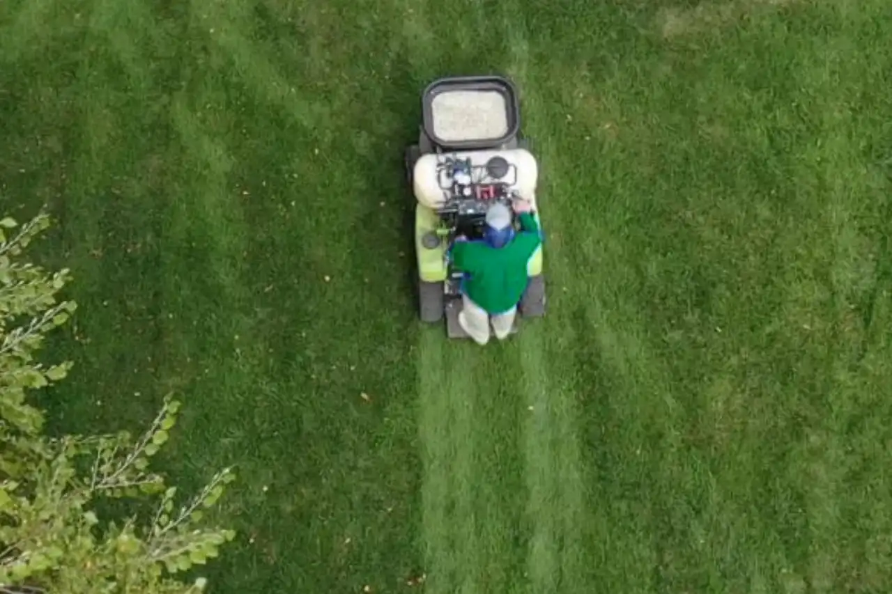 A healthy, green Bermuda lawn in Midlothian, Texas maintained by TW Lawn Care