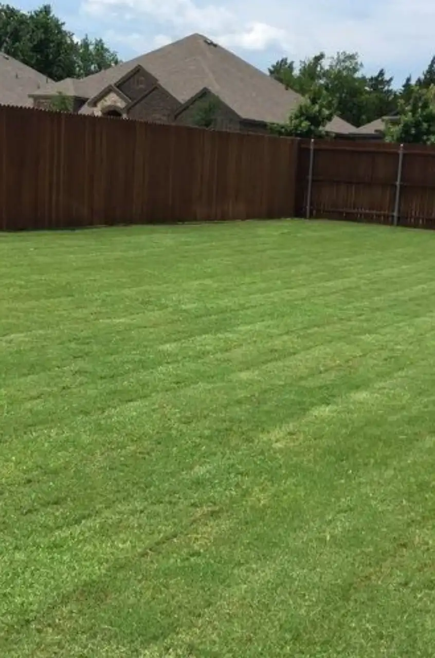 Lawn care service in Midlothian TX
