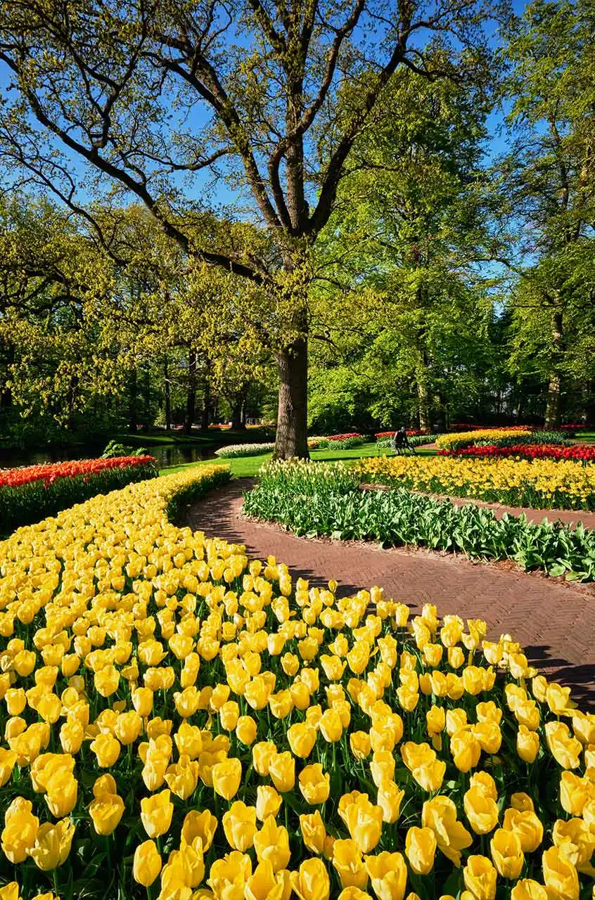 Healthy flowering garden beds representing quality landscape maintenance