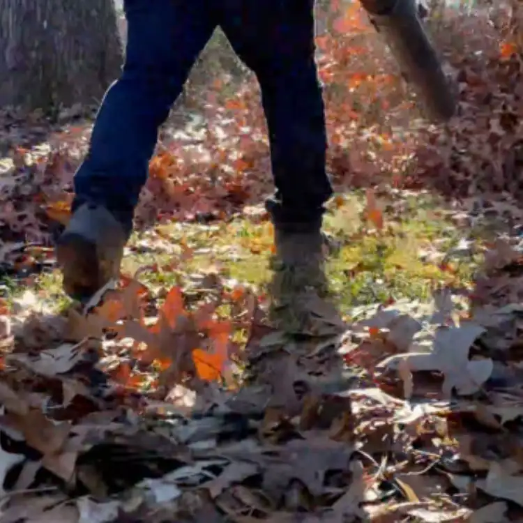 What Does a Fall Cleanup Include in Midlothian, and What Affects the Cost?