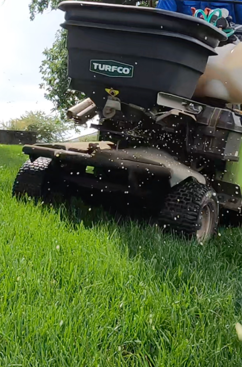 Lawn Fertilization & Weed Control