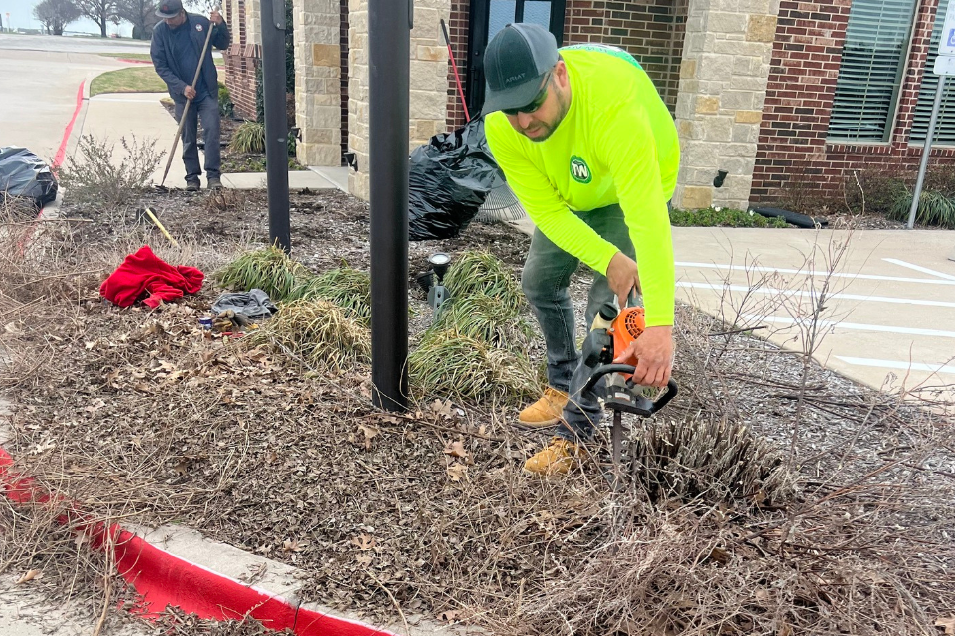 Shrub & Bush Trimming