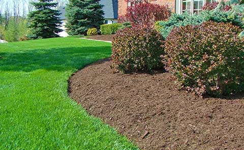 Best Mulch For Flower Beds In Texas